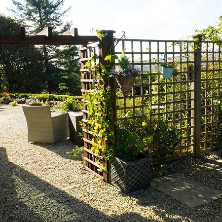 Ivy Lodge Letterkenny Luaran gambar