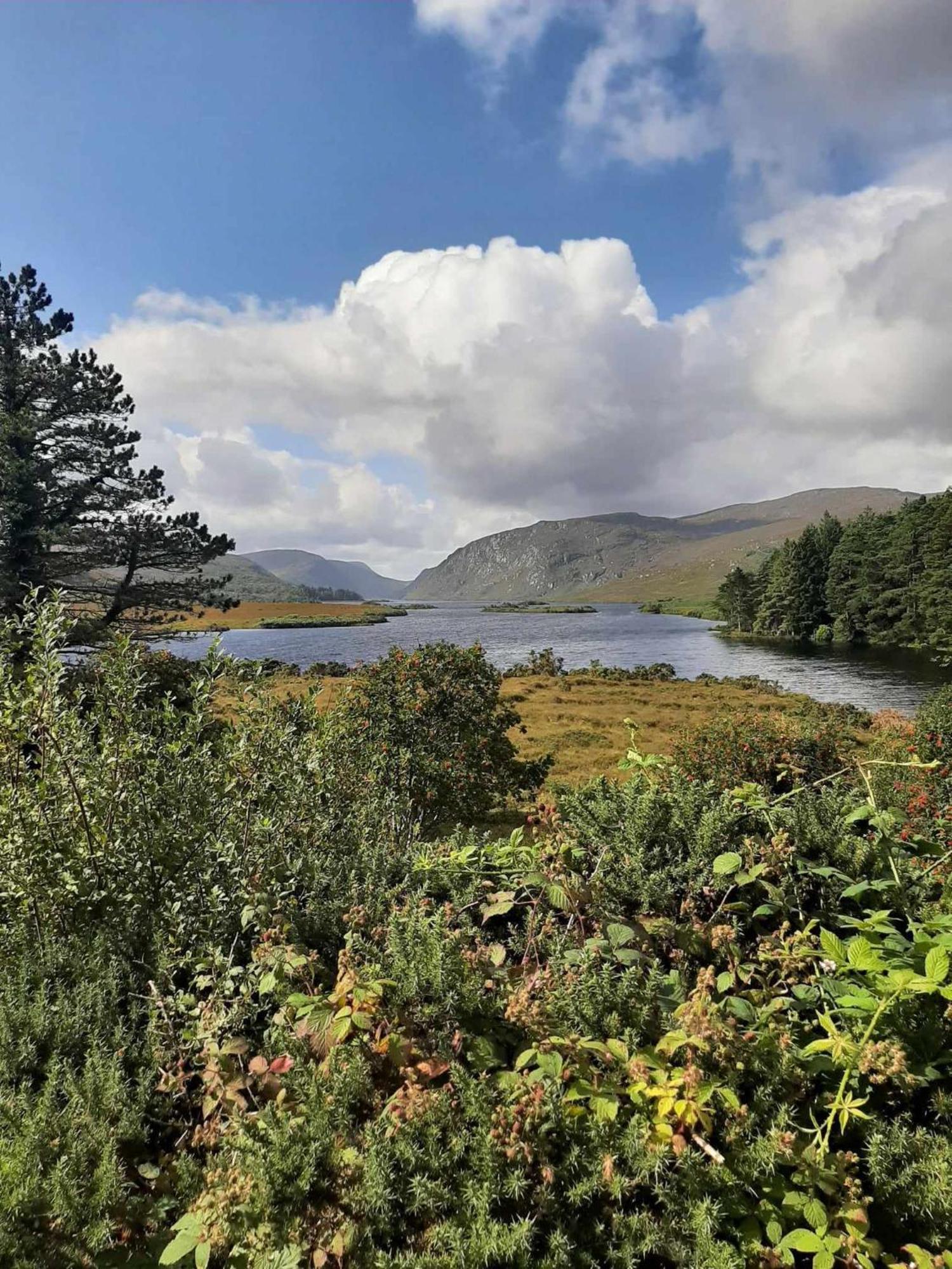 Ivy Lodge Letterkenny Luaran gambar
