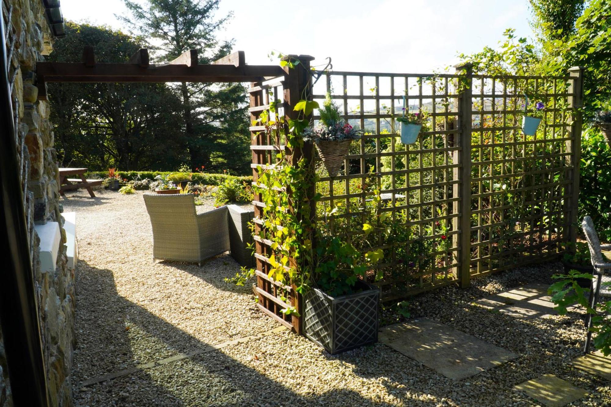 Ivy Lodge Letterkenny Luaran gambar