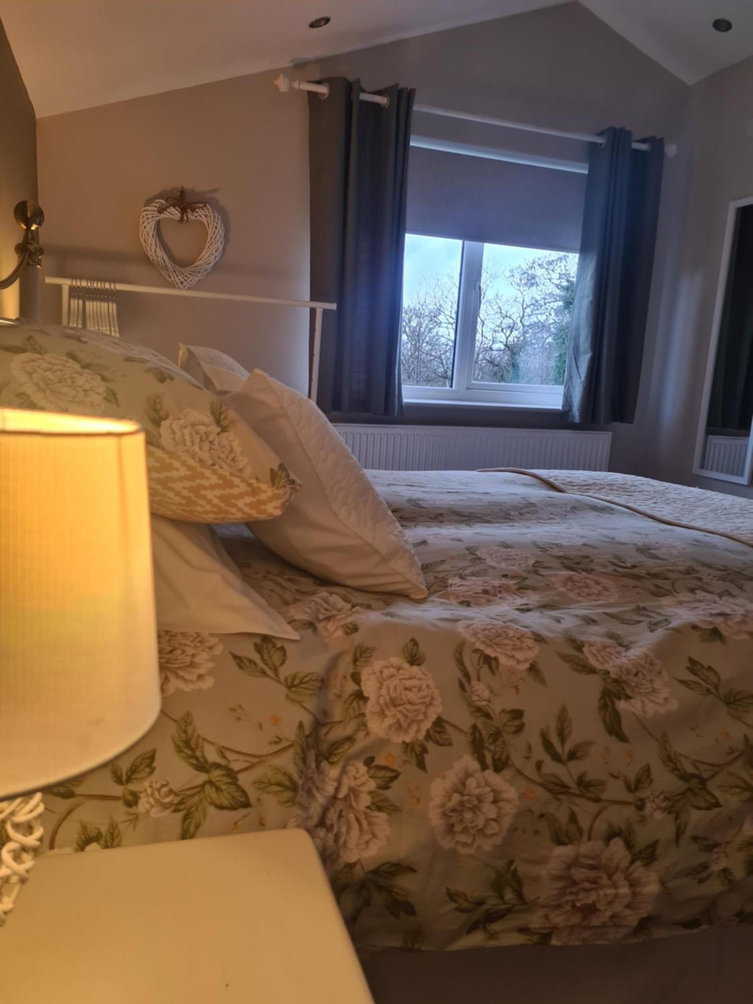 Ivy Lodge Letterkenny Luaran gambar